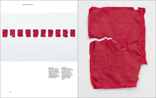 Load image into Gallery viewer, Bethany Collins: A Pattern or Practice