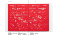 Load image into Gallery viewer, Bethany Collins: A Pattern or Practice