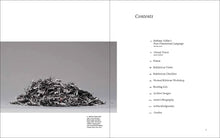 Load image into Gallery viewer, Bethany Collins: A Pattern or Practice