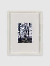 Load image into Gallery viewer, Claire Sherman &quot;Trees and Shore&quot;
