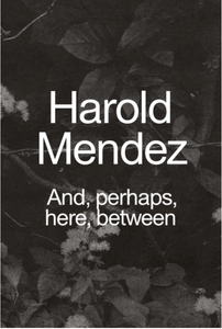 Harold Mendez: and, perhaps, here, between